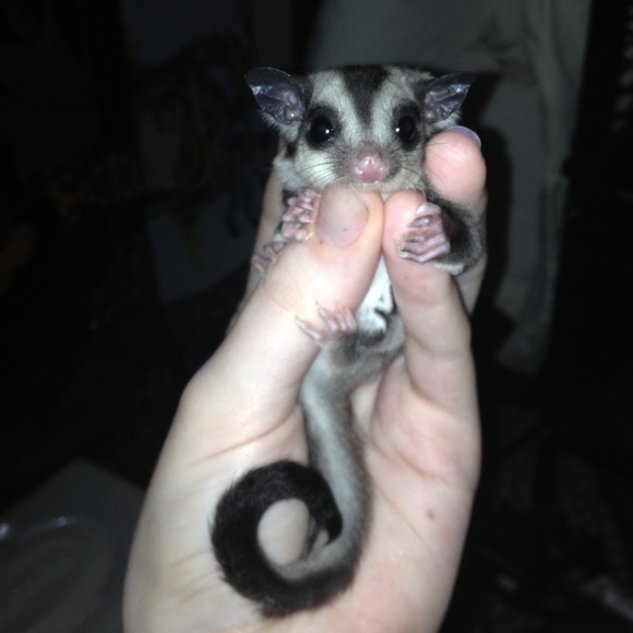 Meet this dork - Picture 4 of 4