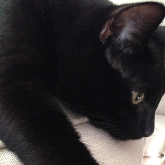 Meet your Posher, Laura