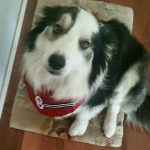 Meet your Posher, Lori