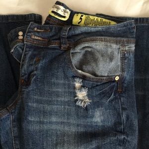 Indigo Rein Skinny Distressed Jeans
