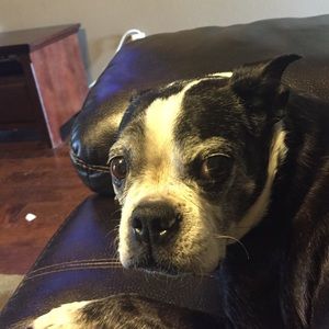 Meet your Posher, Greg