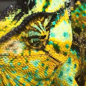 Meet your Posher, Bryce