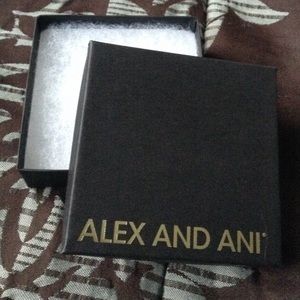 3 Alex and Ani box