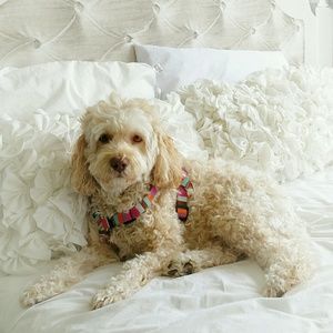 Meet your Posher, Erica