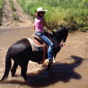 🗻 Meet Your Seller 🐴
