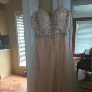 Champagne Blush Dress