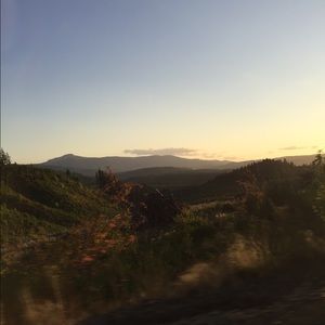 Meet your Posher, Maggie