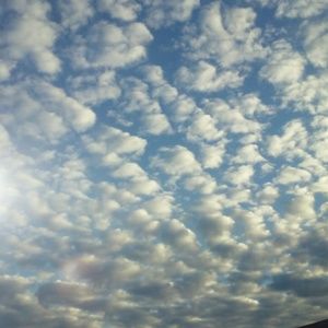 Meet your Posher, Mayra