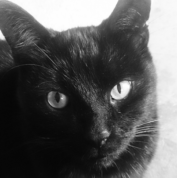 Meet your Posher - Picture 3 of 11