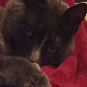 Meet your Posher, Tamara