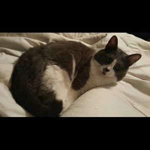 Meet your Posher, Lynsie