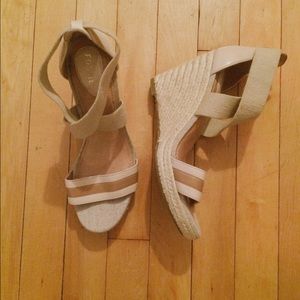Fossil Wedges