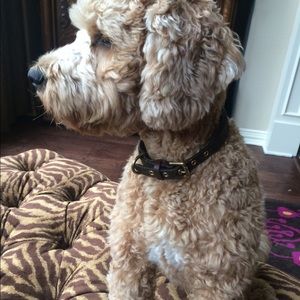 Meet your Posher, Jodi