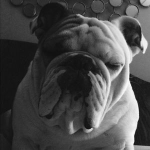 Meet your Posher, Adrienne