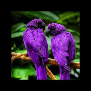 Meet your Posher, Leslie