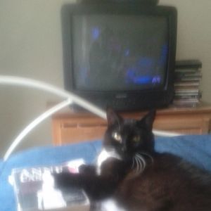 Meet your Posher, Jocelyn