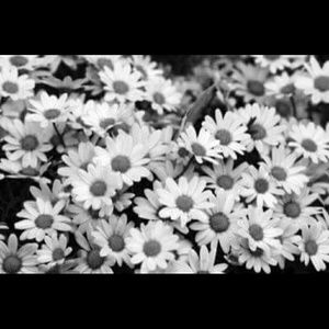 Meet your Posher, Ricky