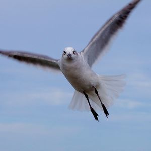 Meet your Posher, Jacki