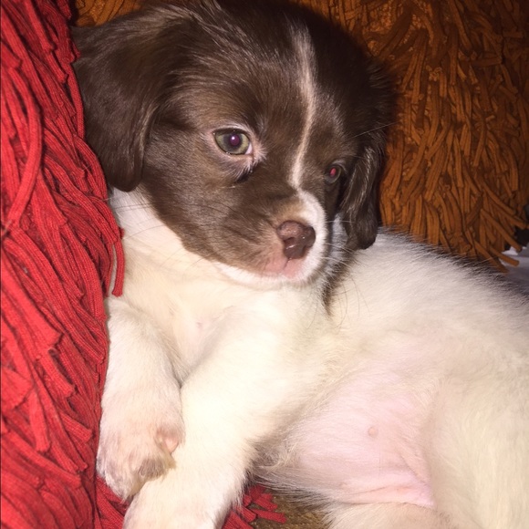 💖💖Nubia's Curvy and Fabulous Closet💖💖 - Picture 3 of 4