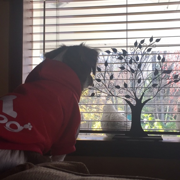 💖💖Nubia's Curvy and Fabulous Closet💖💖 - Picture 4 of 4