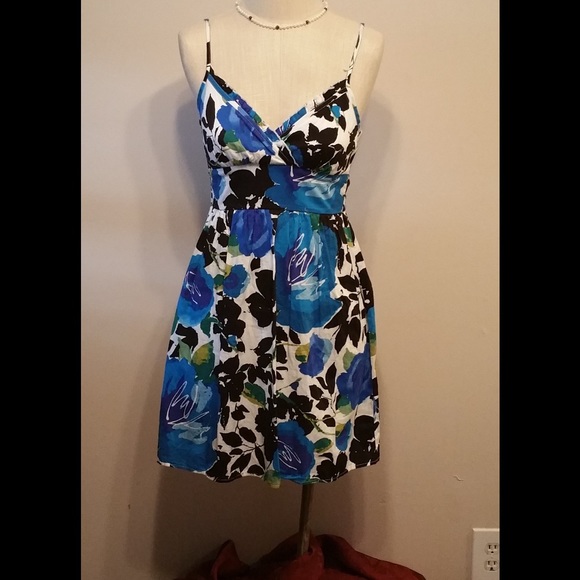 Blue Snap Dress