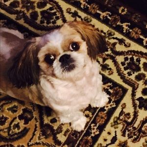 Meet your Posher, Daniele