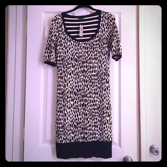 Ann Taylor sweater dress