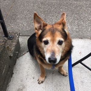 Meet your Posher, Althea