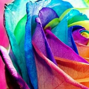 Meet your Posher, Leonor