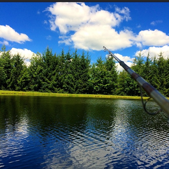 Meet your Posher, Alyssa - Picture 1 of 1