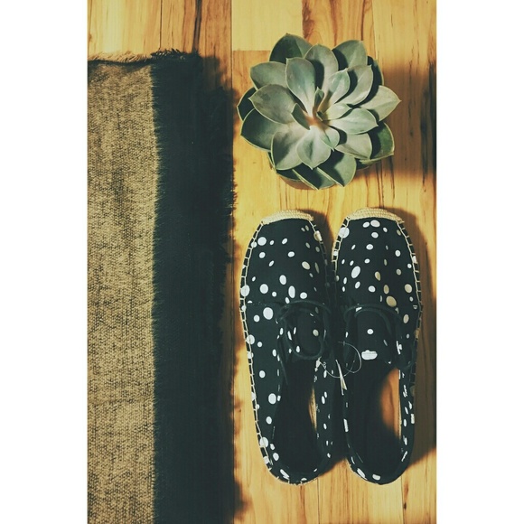 GAP Shoes - Polka-dot canvas lace ups