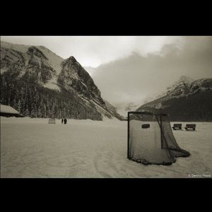 Meet your Posher, Brady