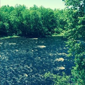 Meet your Posher, Kia