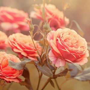 I accept most offers!