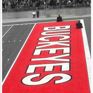 Meet your Posher, Molly