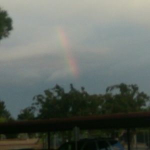 Meet your Posher, Cynthia