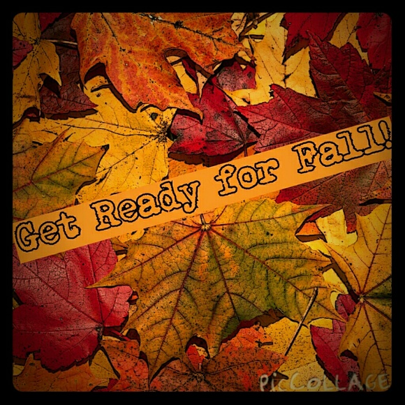 Get Ready for Fall! - Picture 1 of 1