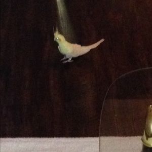 Meet your Posher, Judy