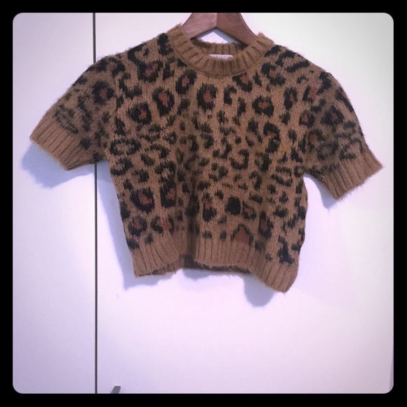 Cooperative Fuzzy Leopard Cropped Sweater