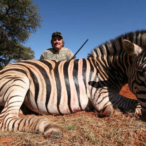 Meet your Posher, Gary - Picture 1 of 1