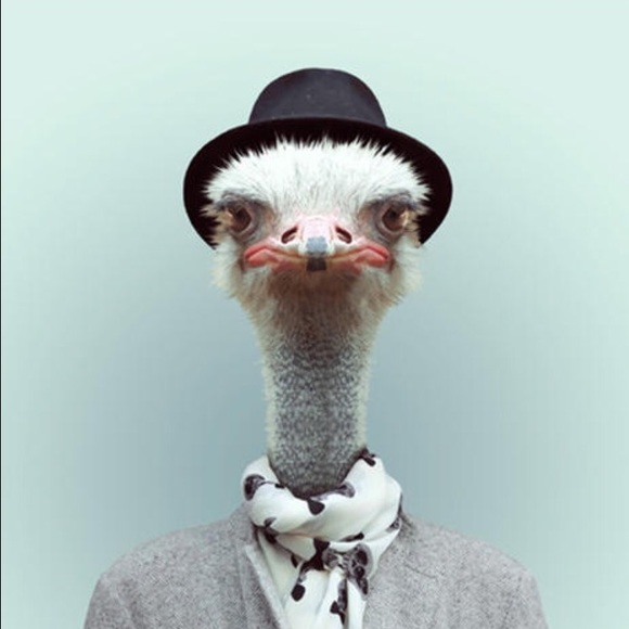 Meet your Posher, Alex - Picture 1 of 1