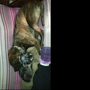 Meet your Posher, Nancy