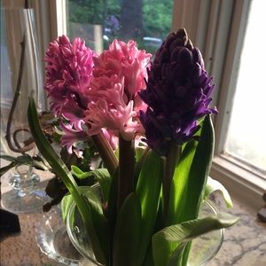 Meet your Posher, Michelle