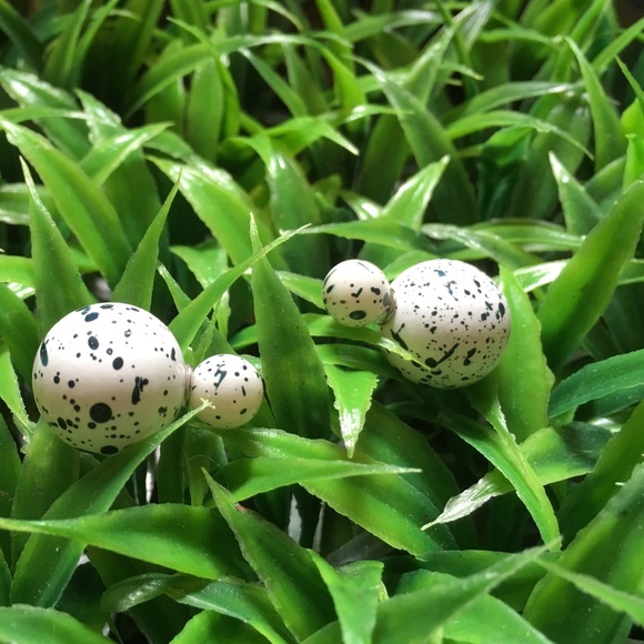 White Double Stud Earrings - Picture 4 of 5