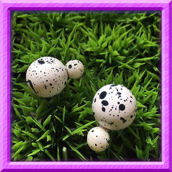 White Double Stud Earrings - Picture 5 of 5