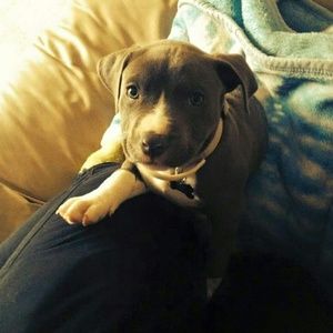 Meet your Posher, William