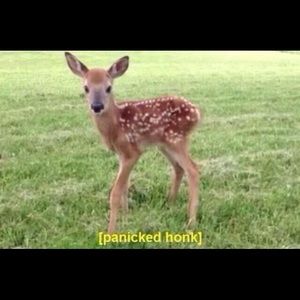 Meet your Posher, Brygette