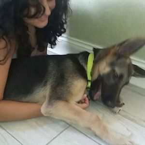 Meet your Posher, Rosa