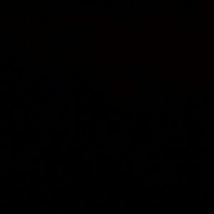 Meet your Posher, Lynn