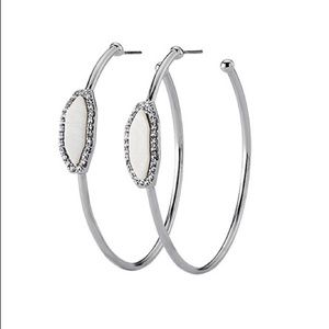 Earring hoops